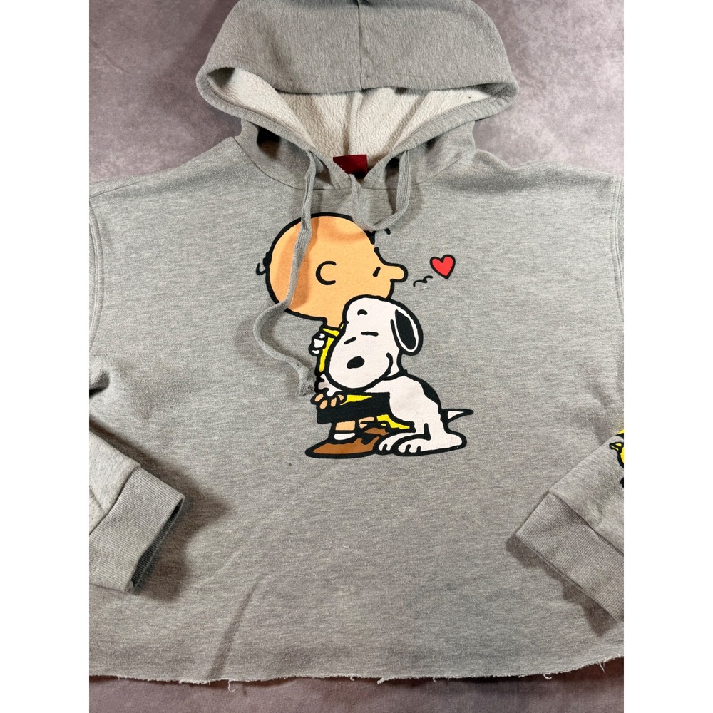 Peanuts Charlie Brown Snoopy Cropped Hoodie Gray Graphic Sweatshirt Medium - Picture 2 of 5